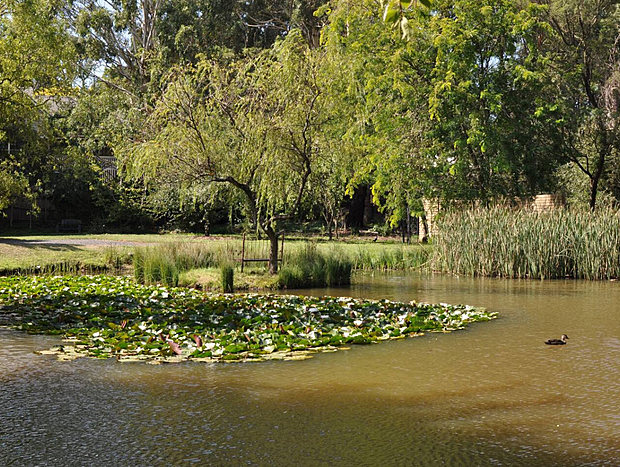 Photo 11 for Woodlands Getaway