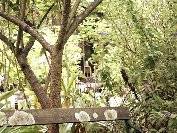 Photo 18 for Wirruna Lodge
