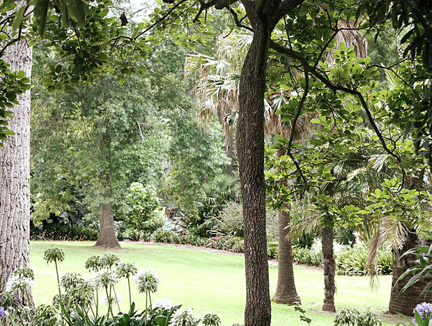 Photo 12 for Wirruna Lodge
