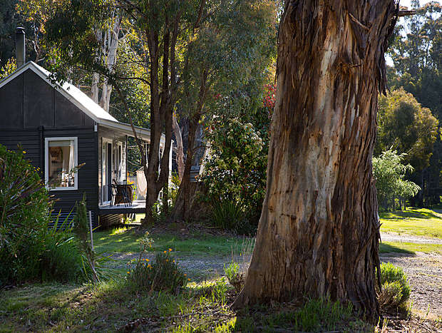 Photo 12 for Bodhi Cottages. 5 Minutes to Daylesford yet quiet and calming