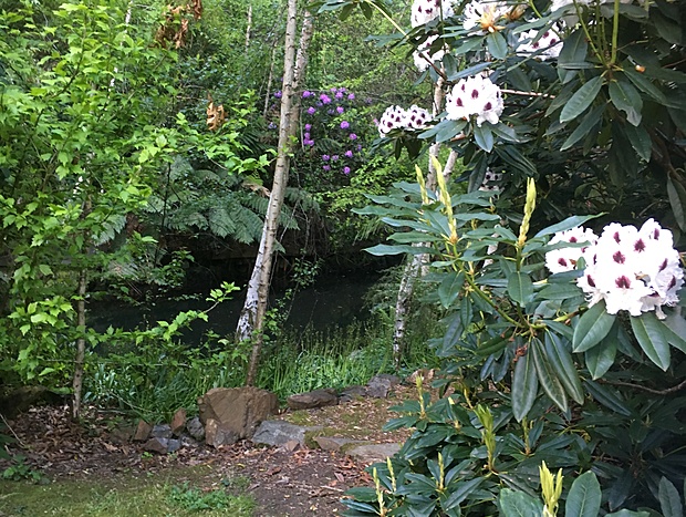 Photo 14 for Shady Brook Deluxe Spa Alpine Cottage in Gardens
