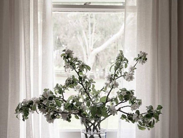 Photo 7 for Yalloak House