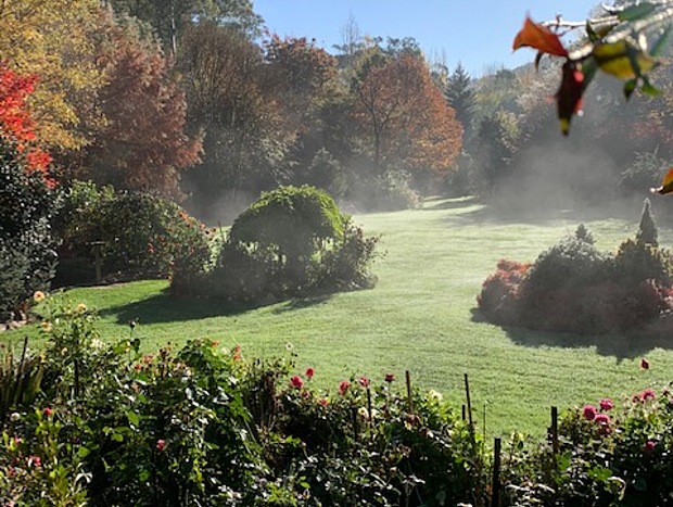 Photo 21 for Shady Brook Deluxe Spa Alpine Cottage in Gardens
