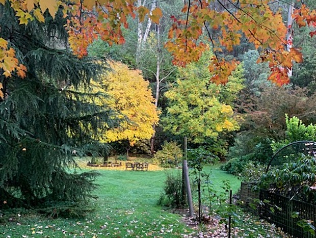 Photo 22 for Shady Brook Deluxe Spa Alpine Cottage in Gardens