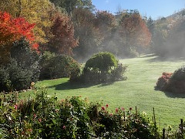 Photo 22 for Shady Brook Alpine Cottage No. 2 in Gardens