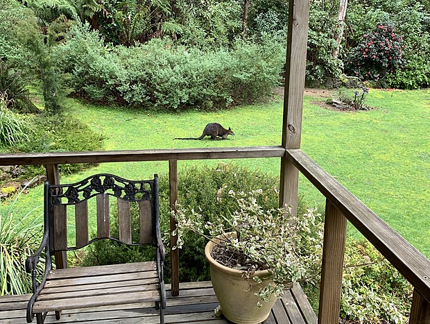 Photo 27 for Shady Brook Deluxe Spa Alpine Cottage in Gardens