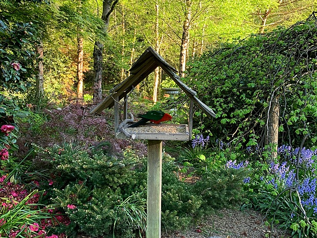 Photo 27 for Shady Brook Alpine Cottage No. 3