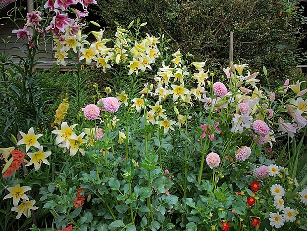 Photo 28 for Shady Brook Alpine Cottage No. 2 in Gardens