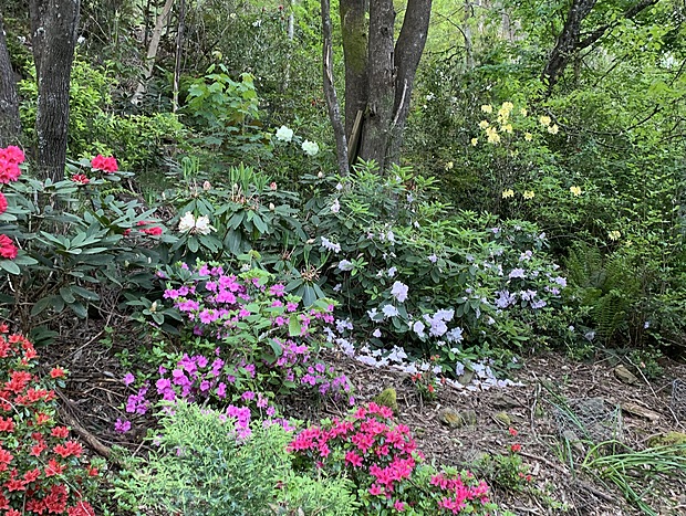 Photo 29 for Shady Brook Alpine Cottage No. 2 in Gardens