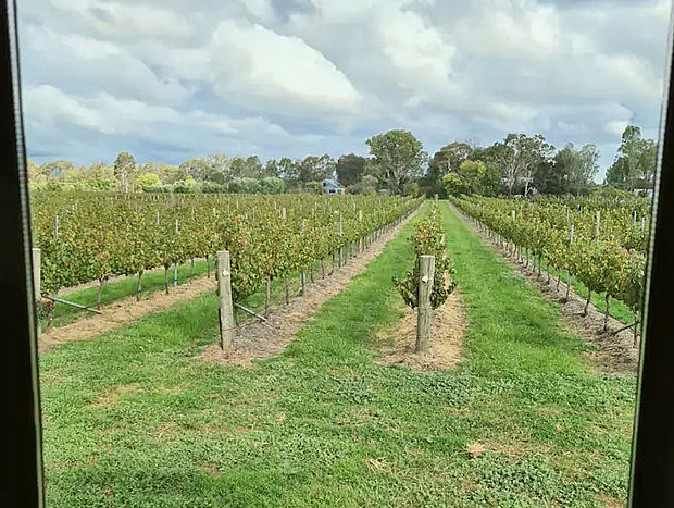 Photo 11 for Jones Tiny House on the Vineyard, Rutherglen (Eco)