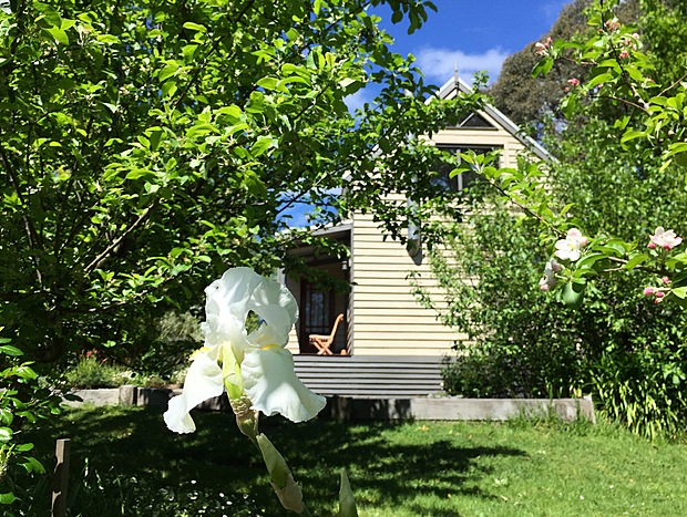 Photo 5 for Loft Cottage - Brigadoon