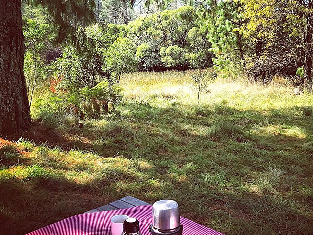 Picnic at the Gorge
