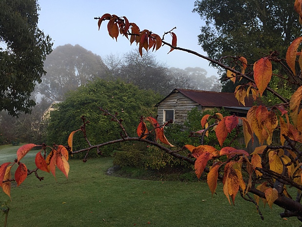 Photo 6 for Cardhu Cottage - Brigadoon