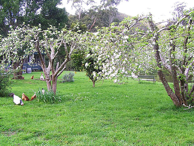 Photo 4 for Writer's Cottage