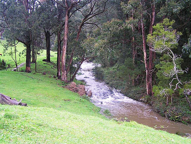 Photo 6 for Walden Cottage