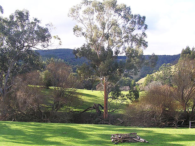 Photo 7 for Walden Cottage