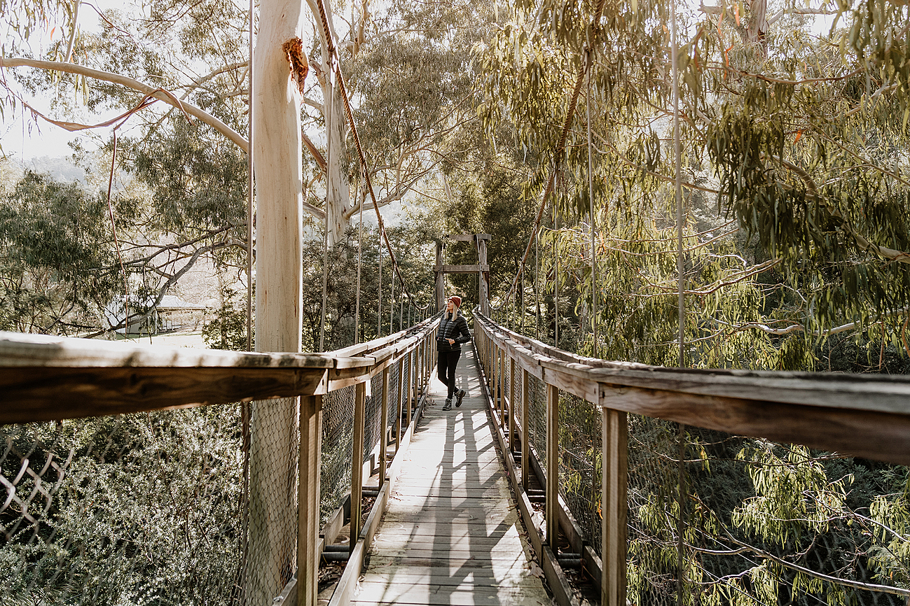 Swing Bridges at Yarra River Walking Track Riparide