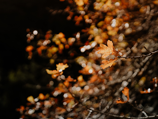 Photo 8 for undefined