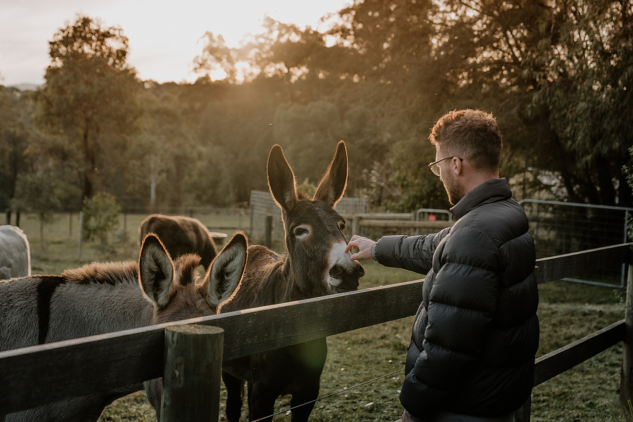Little Yarra Tiny house Yarra Valley Tiny house for Rent in Gladysdale, Yarra Valley, VIC