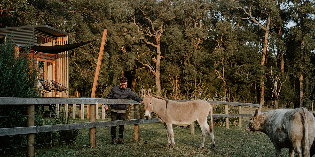 Little Yarra Tiny house Yarra Valley Tiny house for Rent in