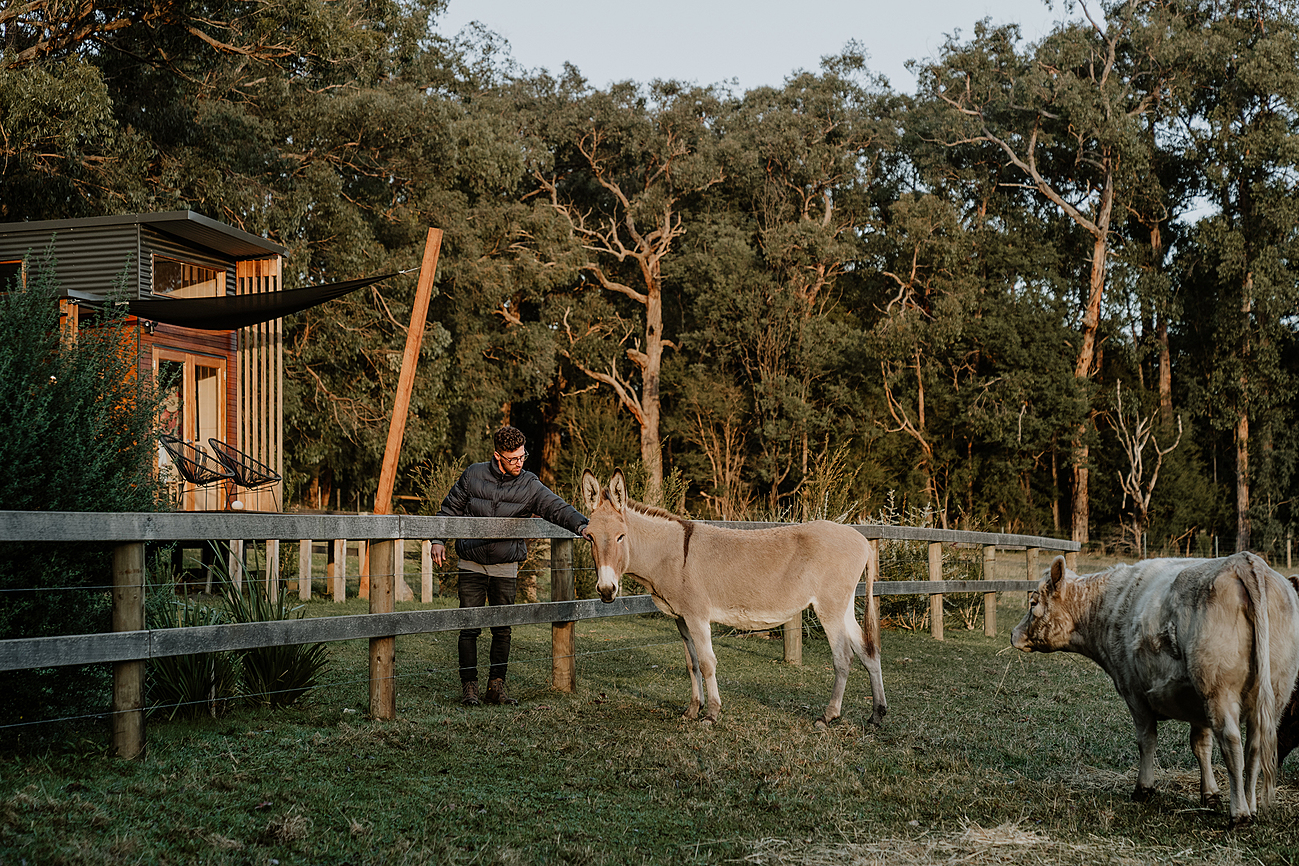 Little Yarra Tiny house Yarra Valley Tiny house for Rent in Gladysdale, Yarra Valley, VIC