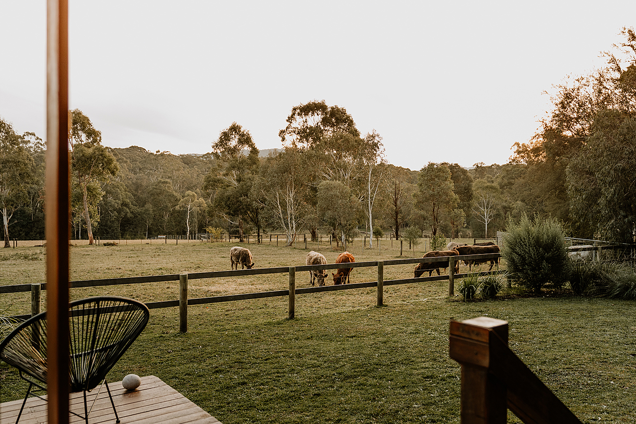 Little Yarra Tiny house Yarra Valley Tiny house for Rent in Gladysdale, Yarra Valley, VIC