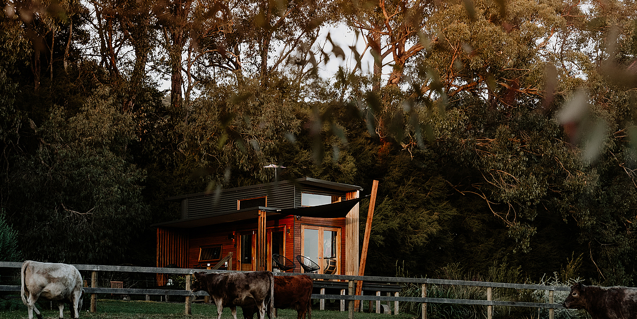 Little Yarra Tiny house Yarra Valley Tiny house for Rent in Gladysdale, Yarra Valley, VIC