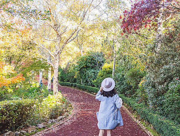 Photo 54 for Mokepilly Macedon Ranges - A Country Garden Escape