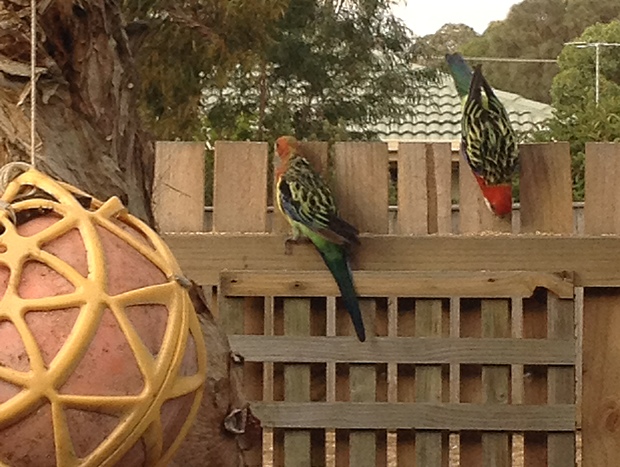 Photo 22 for Glamping in the Grove