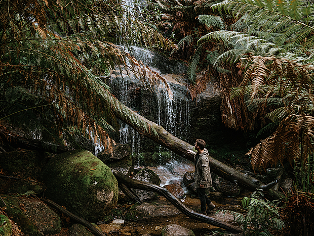 Photo 1 for Loop hike to Ferntree Waterfalls