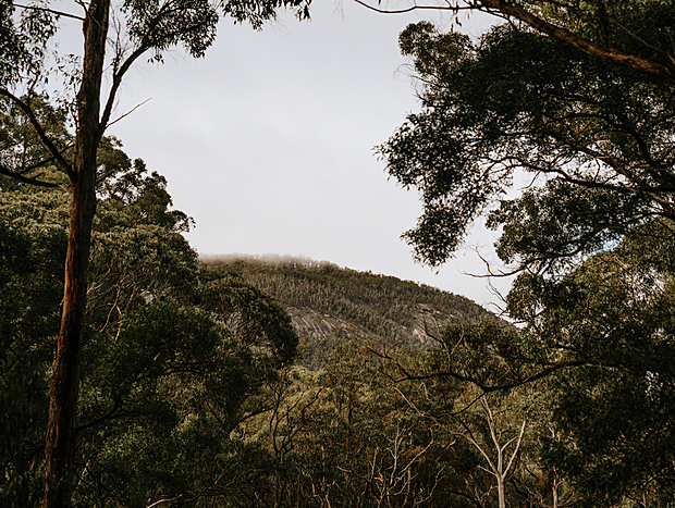Photo 2 for Loop hike to Ferntree Waterfalls