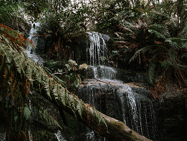 Photo 3 for Loop hike to Ferntree Waterfalls