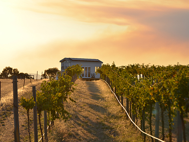 Photo 26 for Hounds Run Vineyard - Tiny House