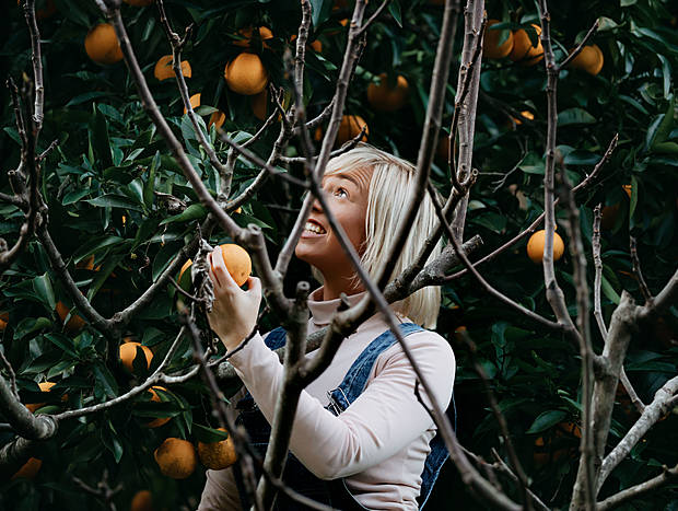 Photo 4 for Fresh local produce from the Orchard
