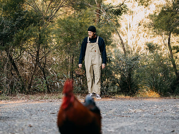 Photo 2 for Rounding up the Chooks