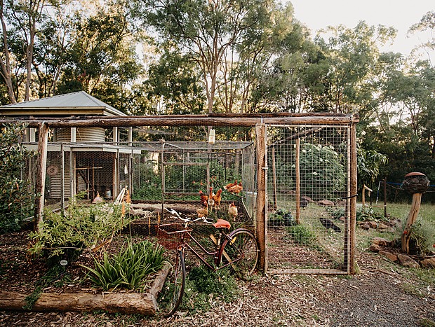 Photo 5 for Rounding up the Chooks