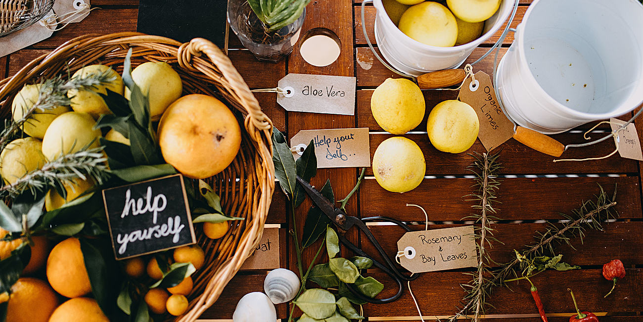 Bombah Point Eco Cottage Cottage for Rent in Bombah Point, North