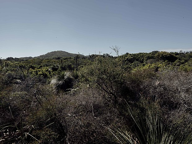 Photo 2 for Nature Walk & Tallow Beach