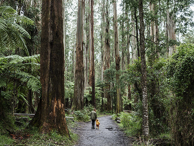 Photo 4 for Sherbrook Forest
