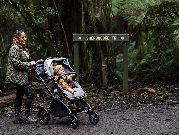 Photo 2 for Sherbrook Forest
