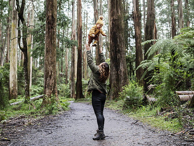 Photo 5 for Sherbrook Forest