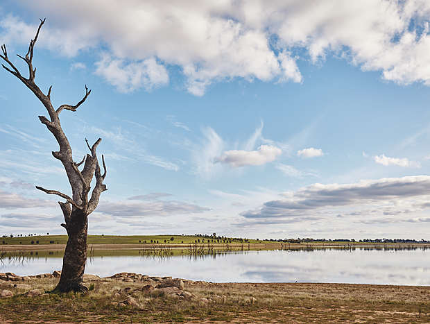 Photo 10 for Golden Maldon