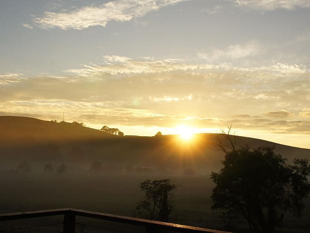 Photo 36 for Citrus Grove: private/architectural/dog-friendly/views/acreage