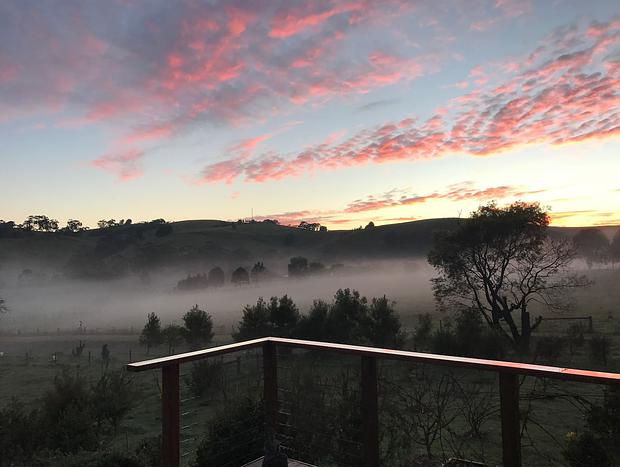 Photo 50 for Citrus Grove: private/architectural/dog-friendly/views/acreage