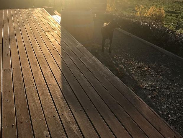 Photo 60 for Citrus Grove: private/architectural/dog-friendly/views/acreage