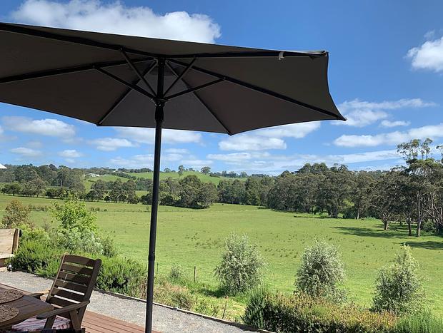 Photo 35 for Citrus Grove: private/architectural/dog-friendly/views/acreage