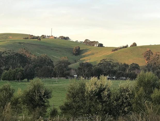 Photo 52 for Citrus Grove: private/architectural/dog-friendly/views/acreage
