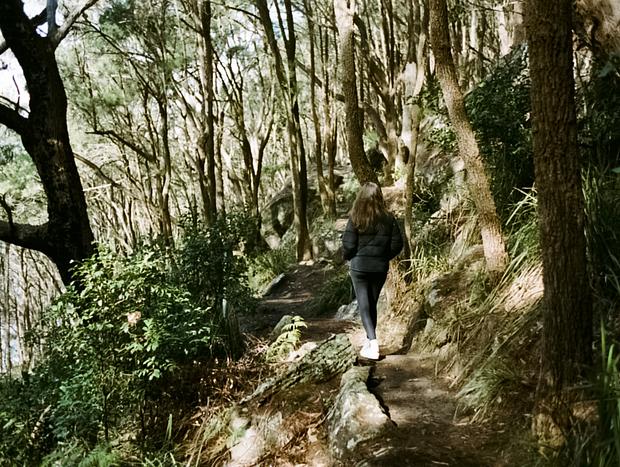 Photo 4 for West Head Trails and Secret Beaches