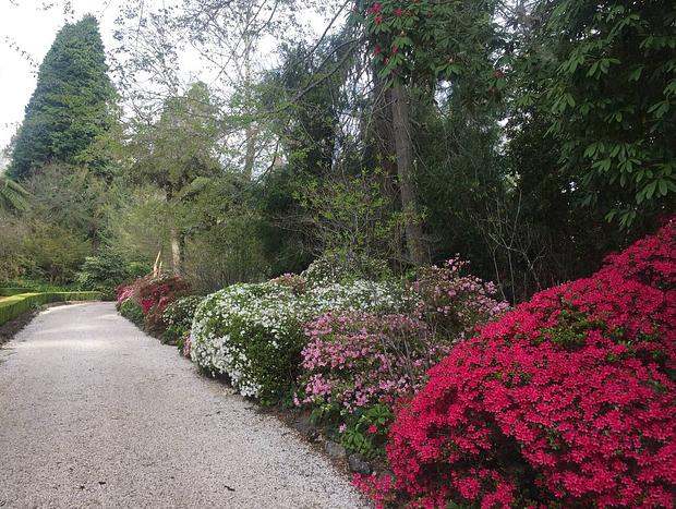 Photo 13 for Dennarque Estate - Hydrangea Cottage, Mount Wilson