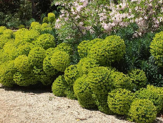 Photo 12 for Dennarque Estate - Hydrangea Cottage, Mount Wilson